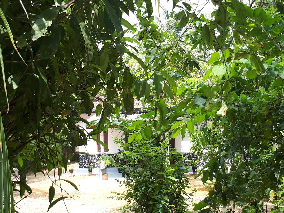 New Sam Tourist Inn Weligama Buitenkant foto